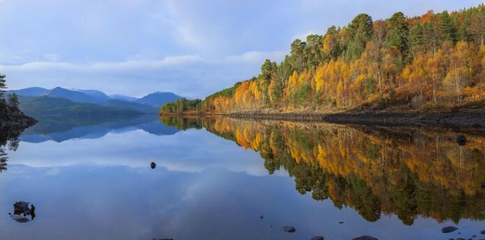 Boost for Scotland’s wilderness and wildlife