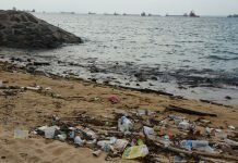 UN: Ocean plastic is a ‘planetary crisis’