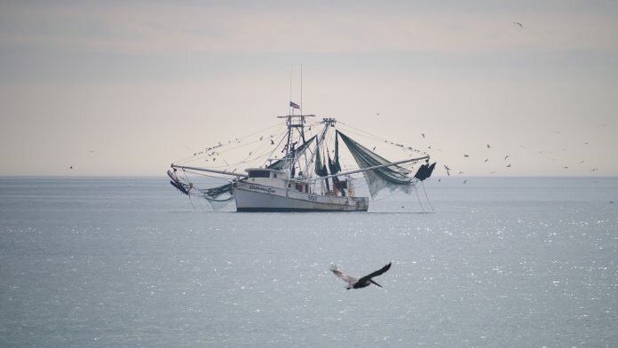 French fishermen protest electric pulse fishing © David B. Gleason