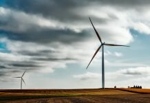 Vattenfall to build subsidy-free wind farms