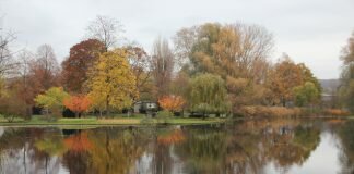 UN climate change negotiations begin at Bonn conference