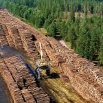 LIGNOL® by RenFuel: a sustainable solution from the Swedish forest