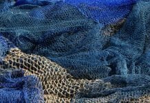 UK to publish ‘Sustainable Fisheries for Future Generations’ report