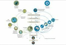 The circular economy concept