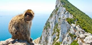 Gibraltar tax arrangements