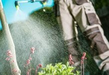 eu pesticide approval procedure