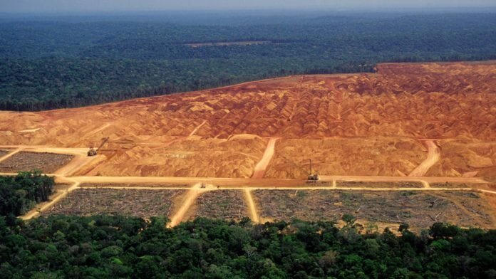 deforestation linked to inequality