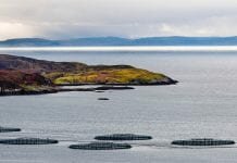 2019 aquaculture awards