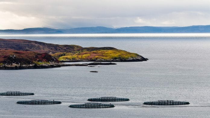 2019 aquaculture awards