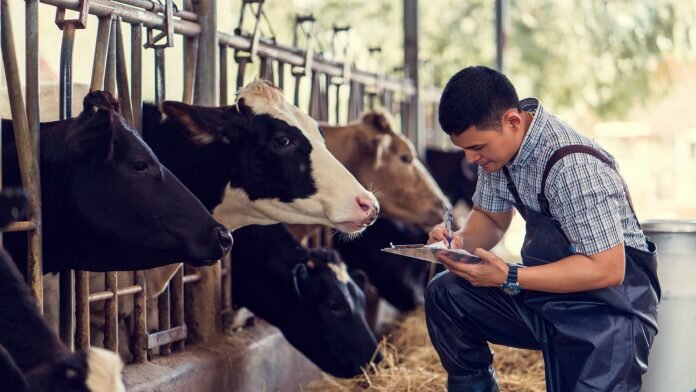 european young farmers' initiative