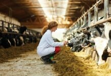 food safety standards in agriculture