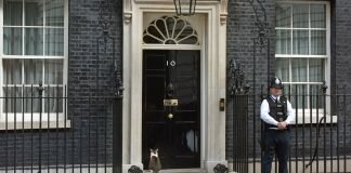 may announces resignation date