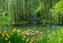 biodiversity in france