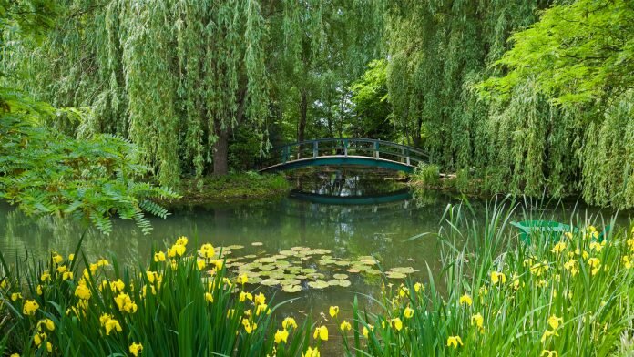 biodiversity in france