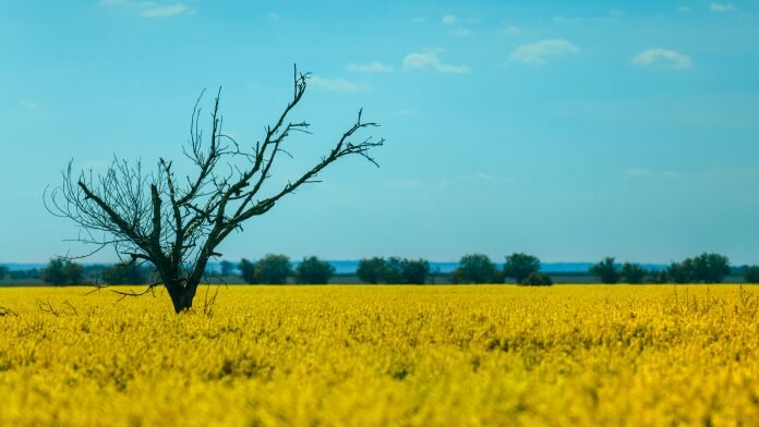 uk bioethanol report