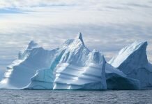 hybrid cruise ship roald amundsen