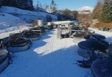 aquaculture tanks