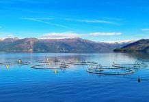 norway aquaculture funding