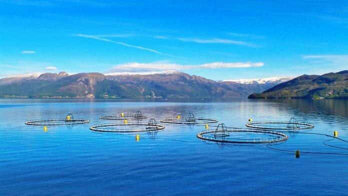 norway aquaculture funding