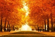 european semester autumn package