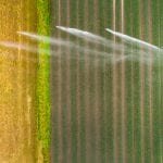 water reuse in agriculture