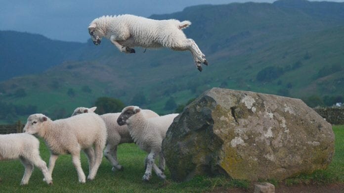 uk agriculture funding